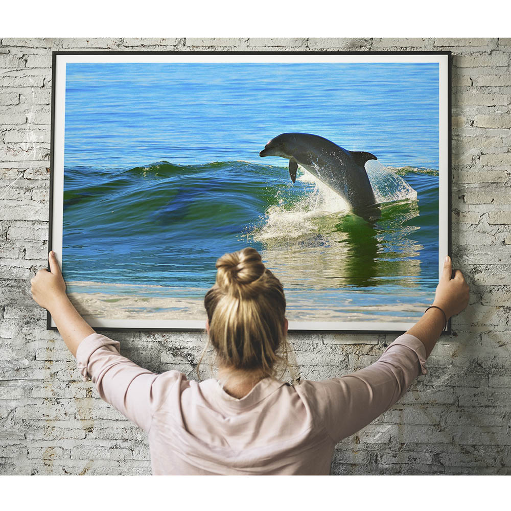 Jumping Dolphin