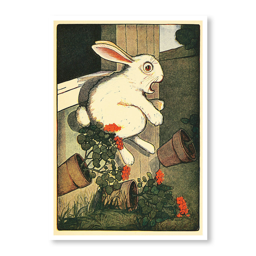 3 Plants Peter Rabbit