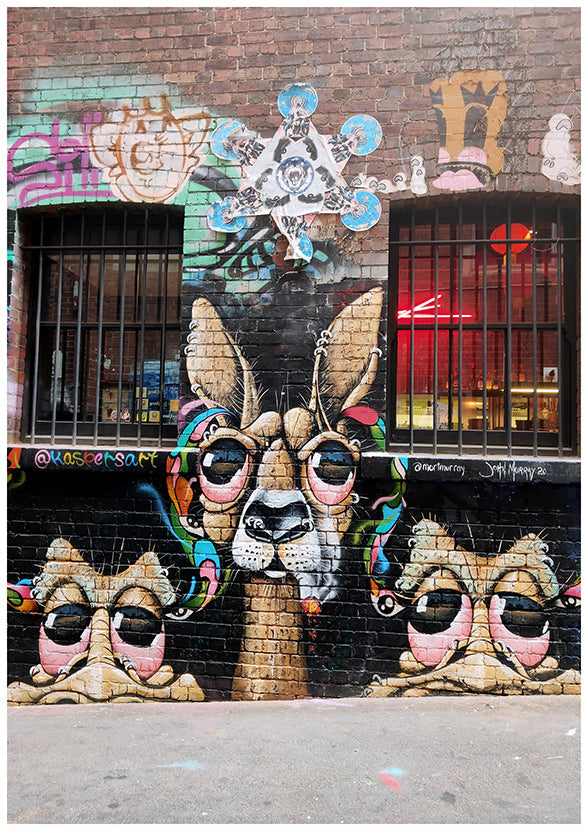 Tricky Kangaroo Poster