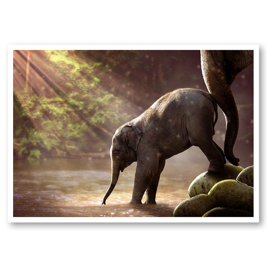 Water Seeking Baby Elephant