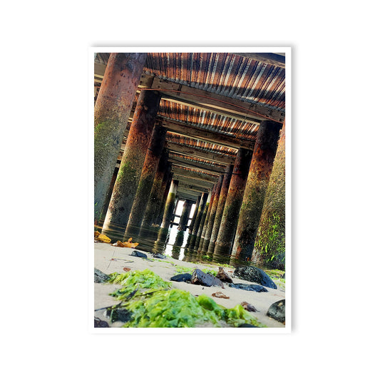 Under the Bridge