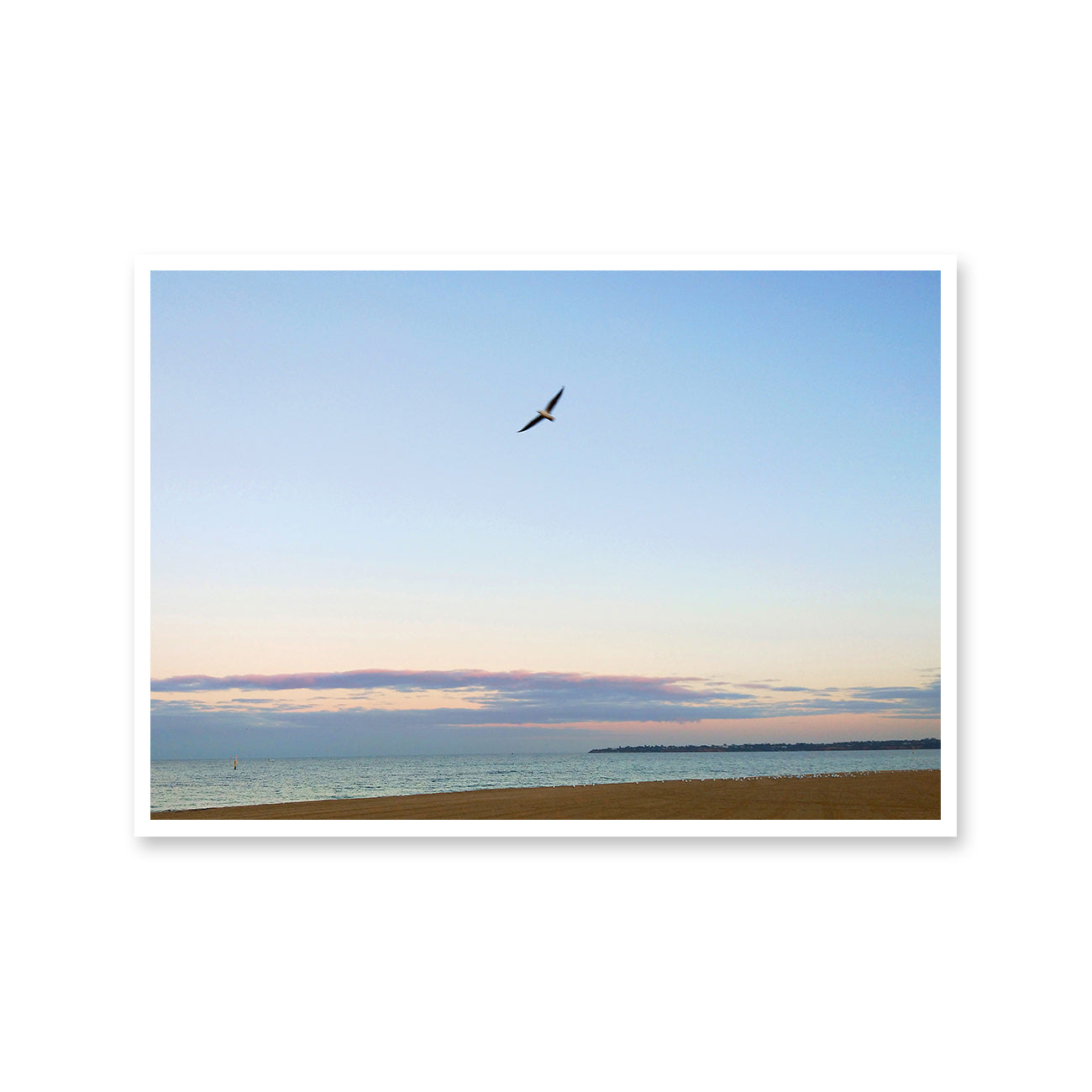Flying High