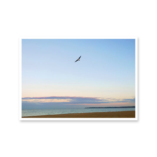 Flying High