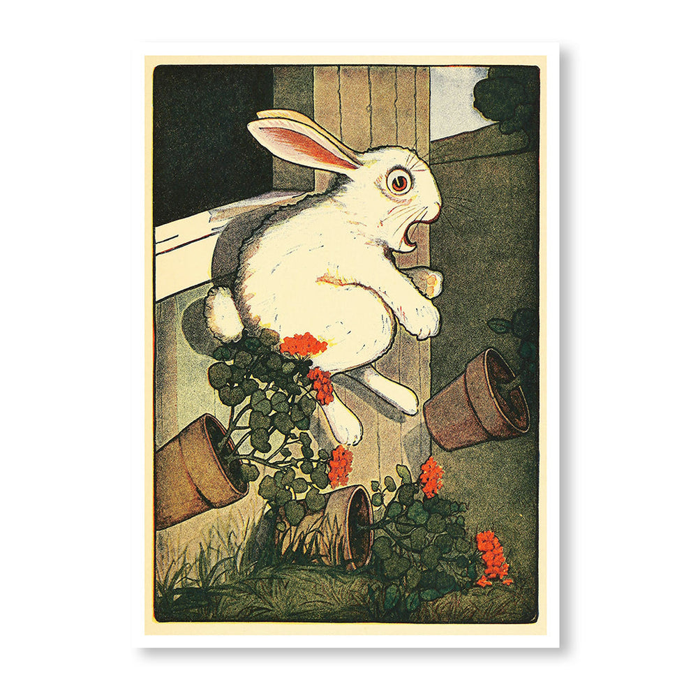 3 Plants Peter Rabbit | Print Shed