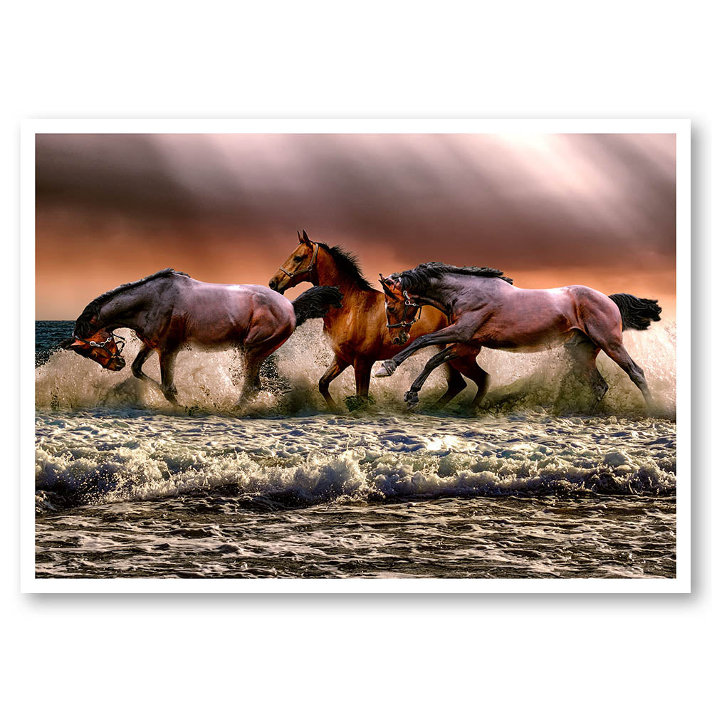 Band of Brumbies