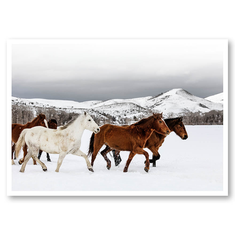 Winter Horse Bandits