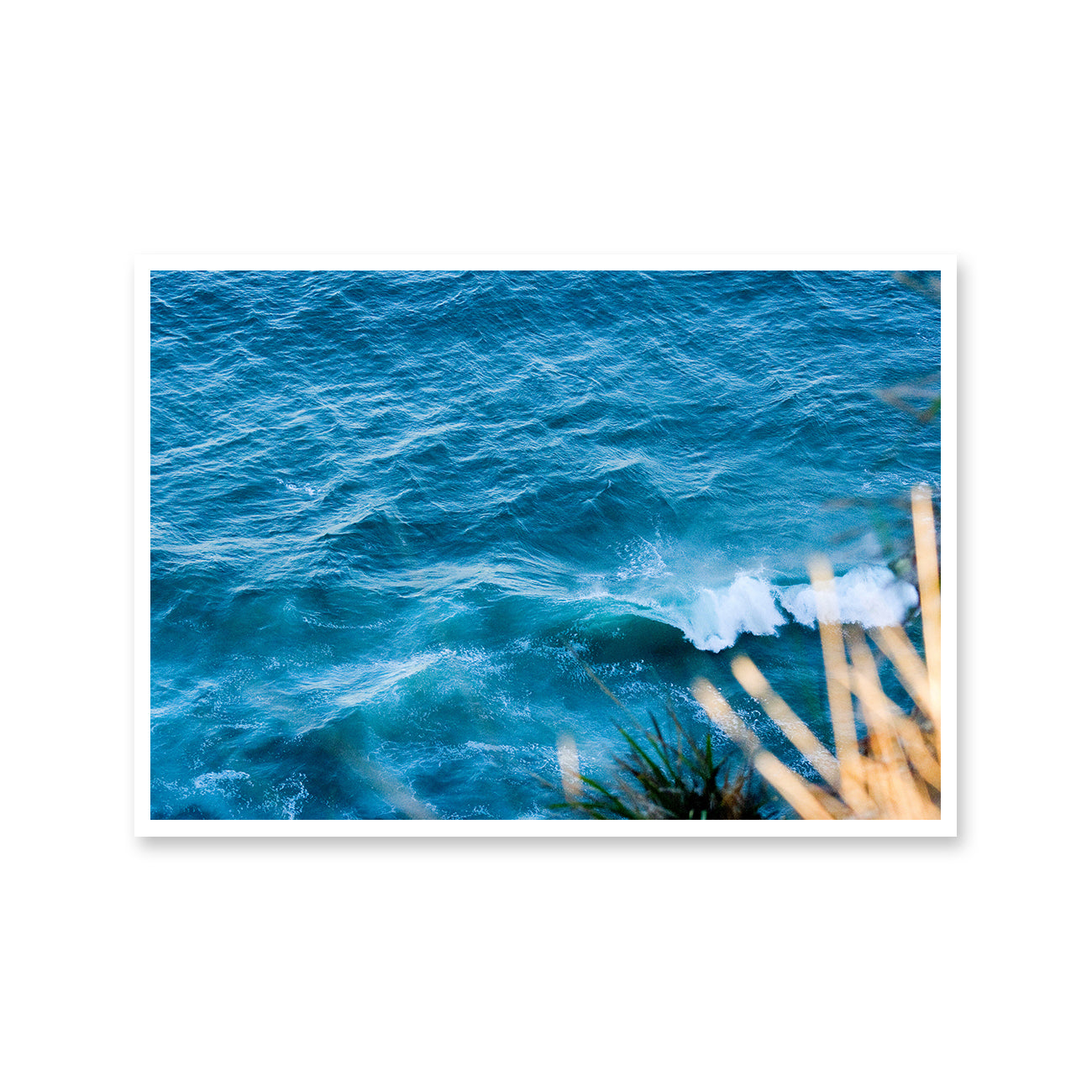 Mini Wave Peak