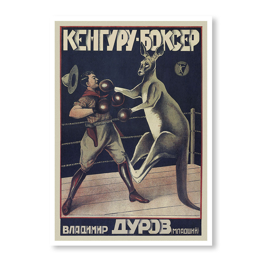 Boxing Kangaroo Poster