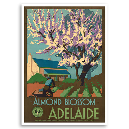 Almond Blossom Tourism Adelaide Australia