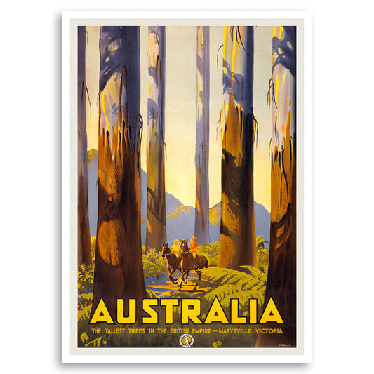 Marysville Australia - The Tallest Trees in the British Empire